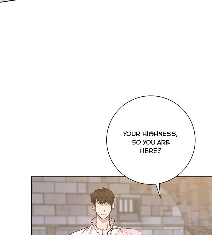 The Princess’s Double Life Chapter 15 - Page 28