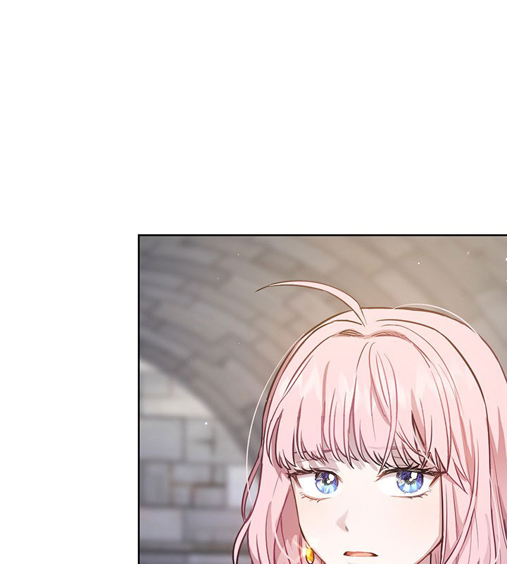 The Princess’s Double Life Chapter 15 - Page 41