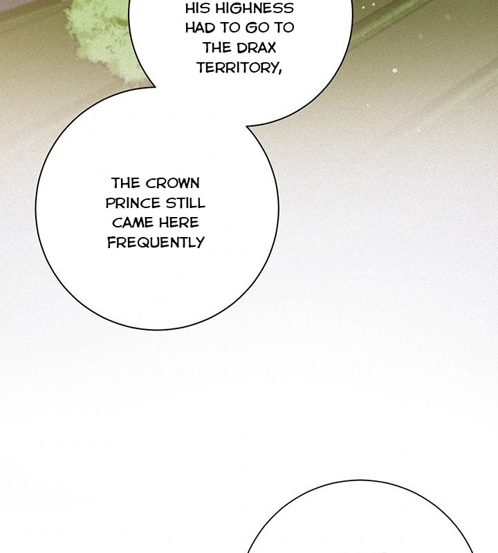 The Princess’s Double Life Chapter 15 - Page 88