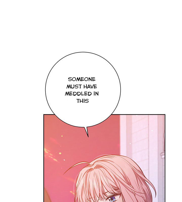 The Princess’s Double Life Chapter 15 - Page 93