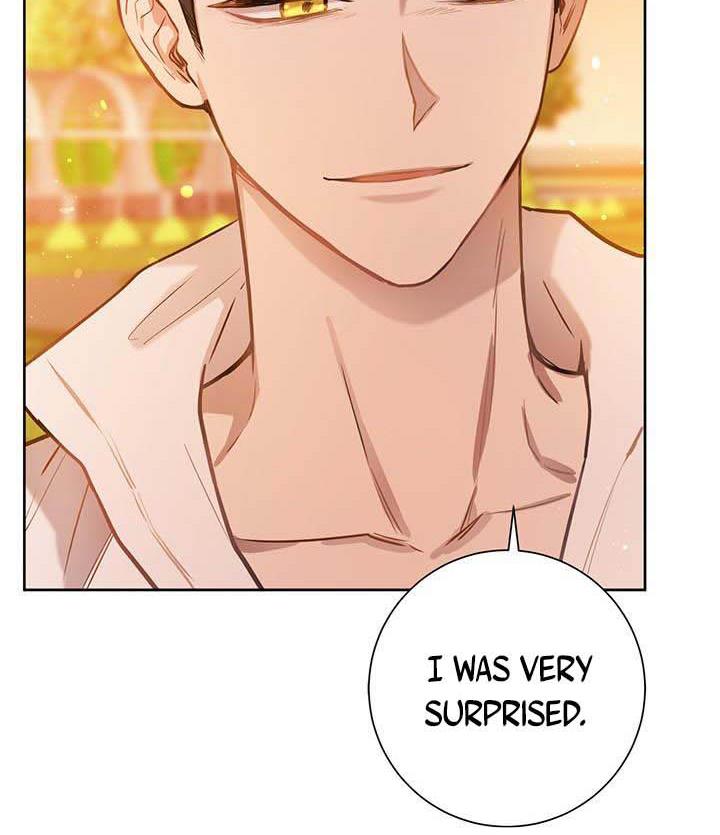 The Princess’s Double Life Chapter 16 - Page 83