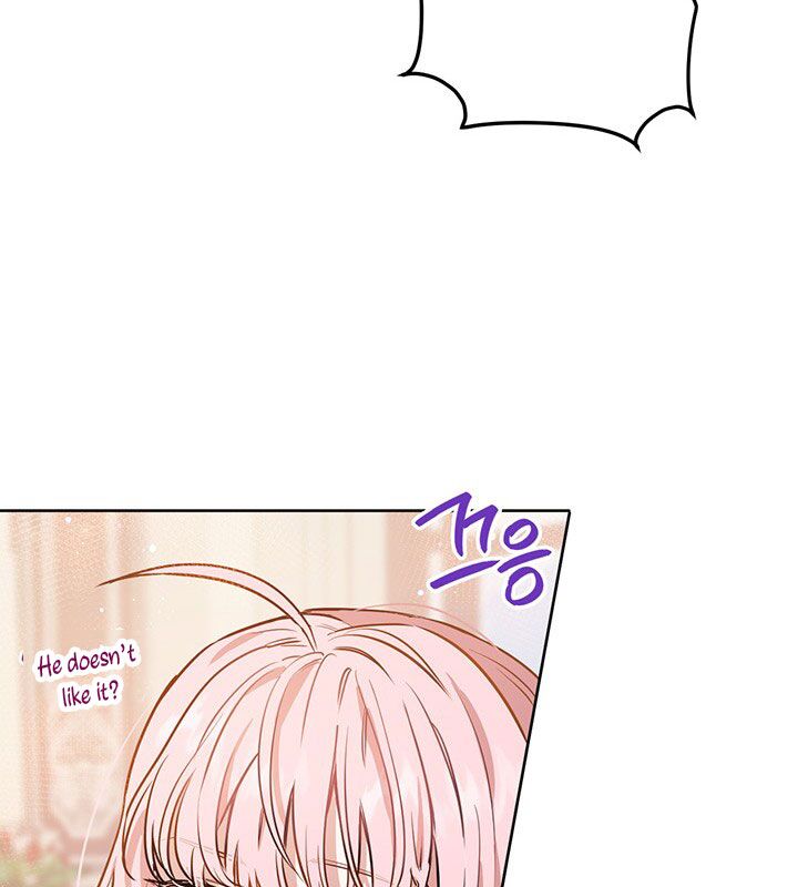 The Princess’s Double Life Chapter 17 - Page 43