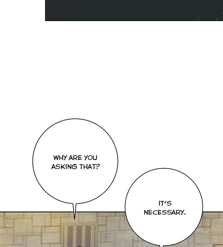 The Princess’s Double Life Chapter 17 - Page 65