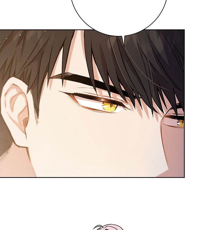 The Princess’s Double Life Chapter 17 - Page 91