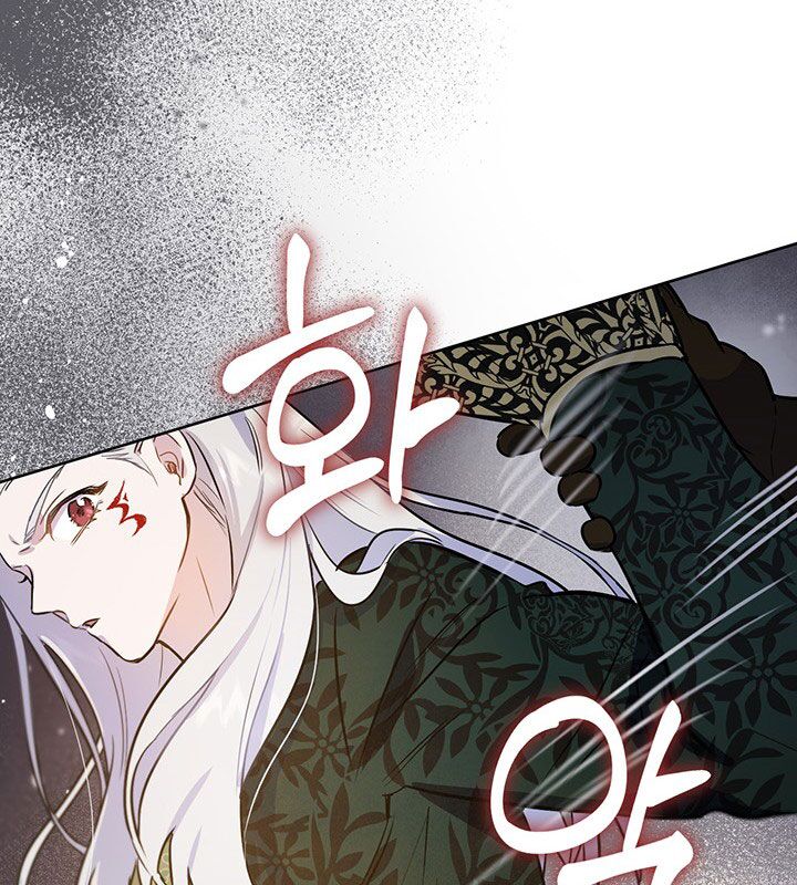 The Princess’s Double Life Chapter 19 - Page 102