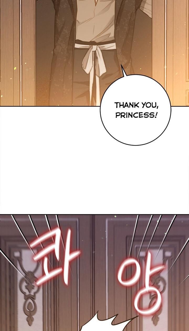 The Princess’s Double Life Chapter 24 - Page 27