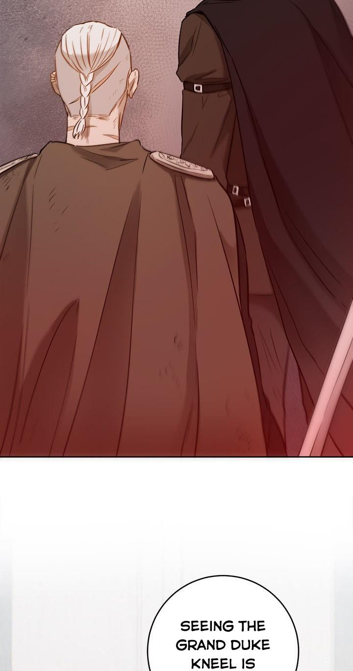The Princess’s Double Life Chapter 24 - Page 77