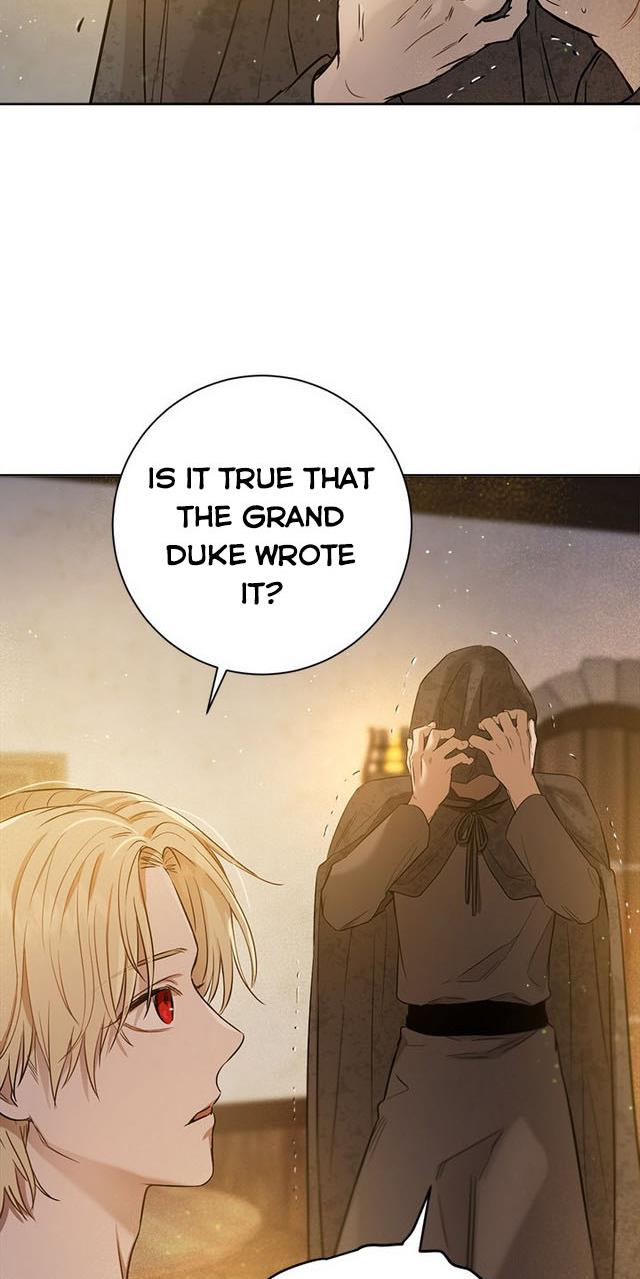 The Princess’s Double Life Chapter 25 - Page 47