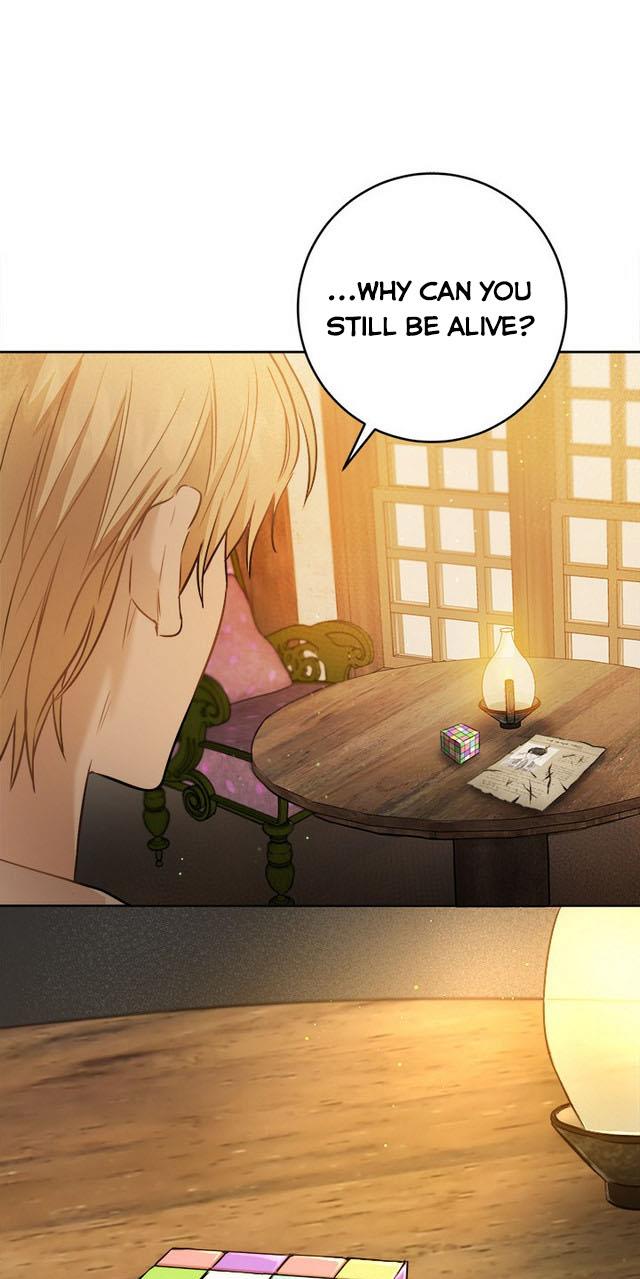 The Princess’s Double Life Chapter 25 - Page 63