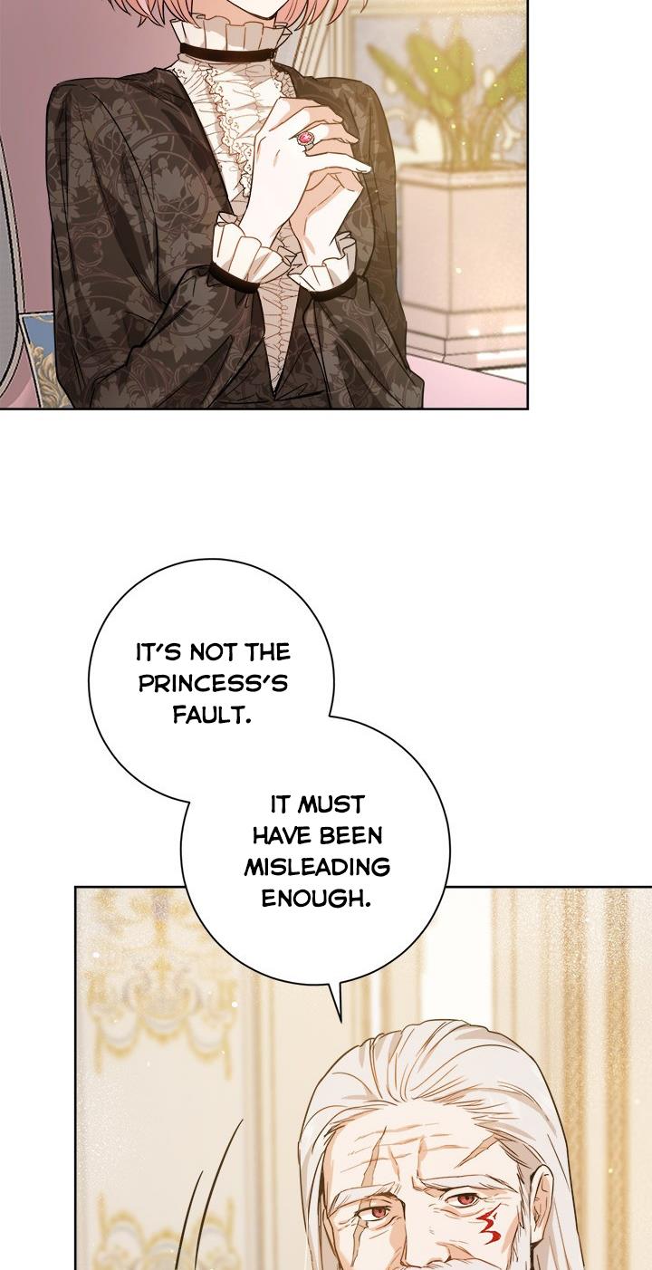 The Princess’s Double Life Chapter 28 - Page 21