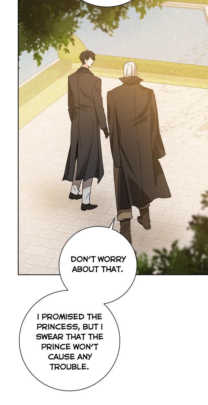 The Princess’s Double Life Chapter 28 - Page 64