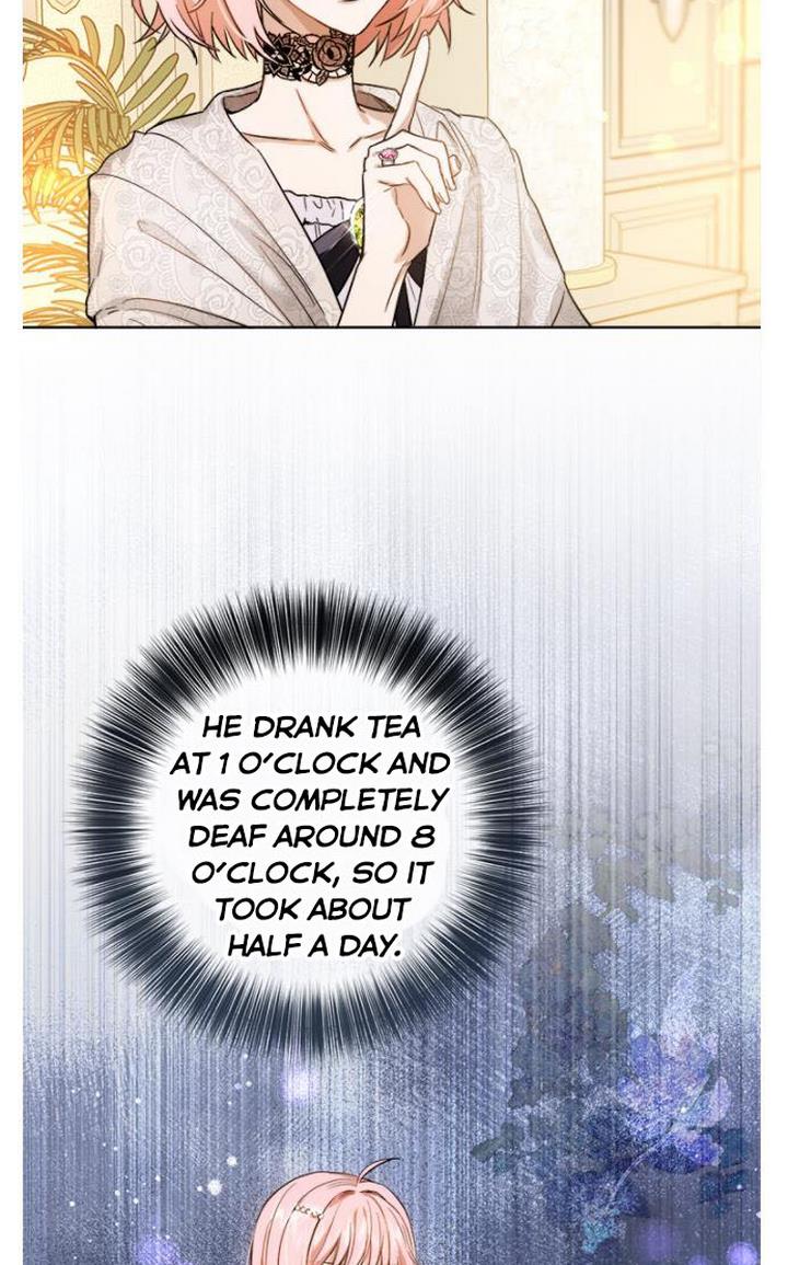 The Princess’s Double Life Chapter 31 - Page 41