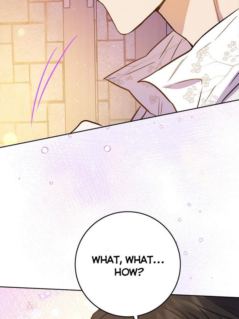 The Princess’s Double Life Chapter 32 - Page 40