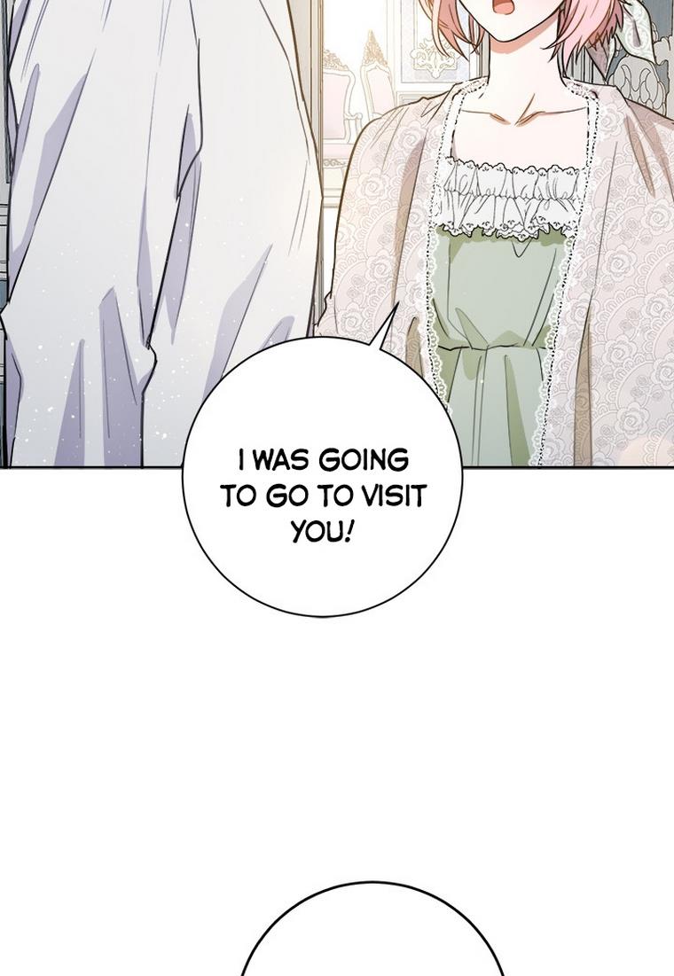 The Princess’s Double Life Chapter 33 - Page 65