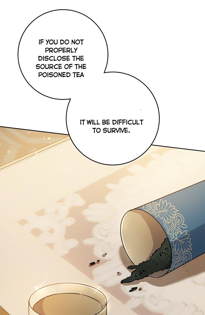 The Princess’s Double Life Chapter 34 - Page 46