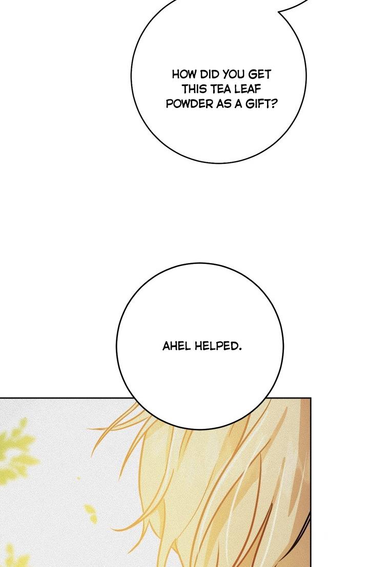 The Princess’s Double Life Chapter 34 - Page 55