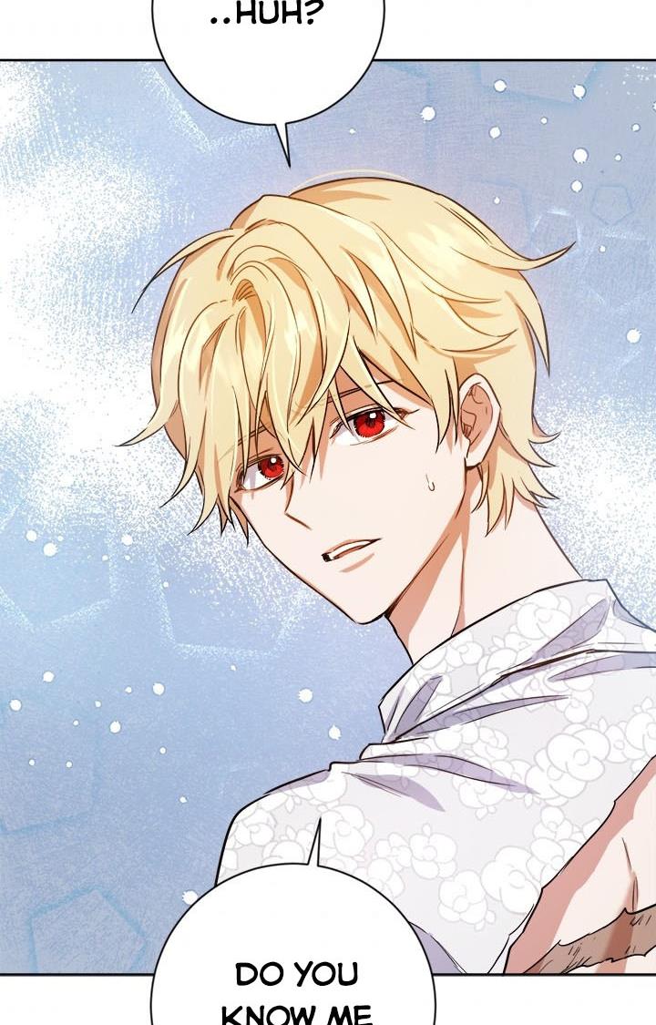 The Princess’s Double Life Chapter 36 - Page 35