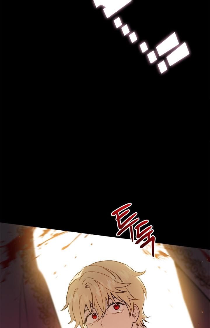 The Princess’s Double Life Chapter 36 - Page 95