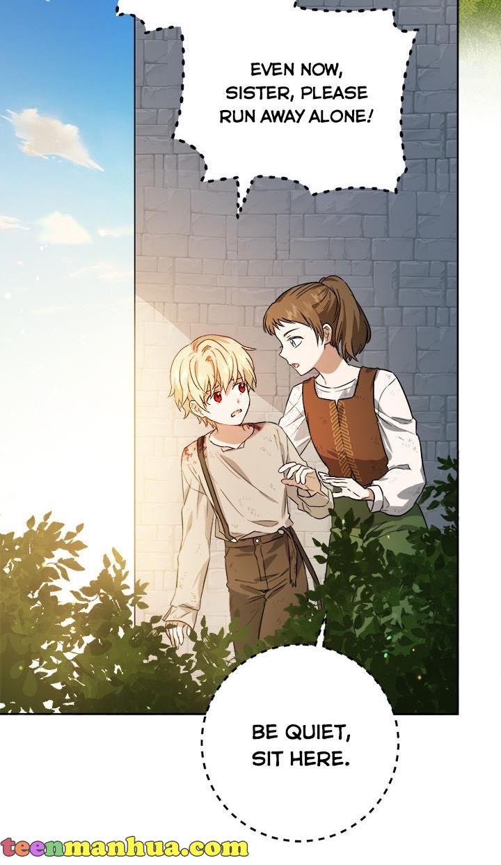 The Princess’s Double Life Chapter 37 - Page 17