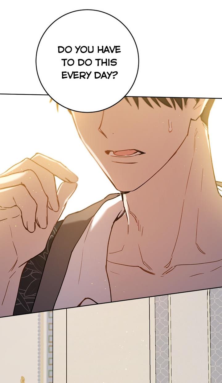 The Princess’s Double Life Chapter 37 - Page 77