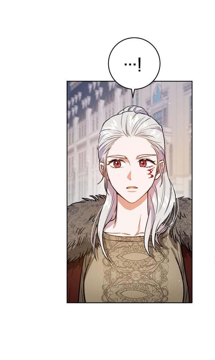 The Princess’s Double Life Chapter 39 - Page 71