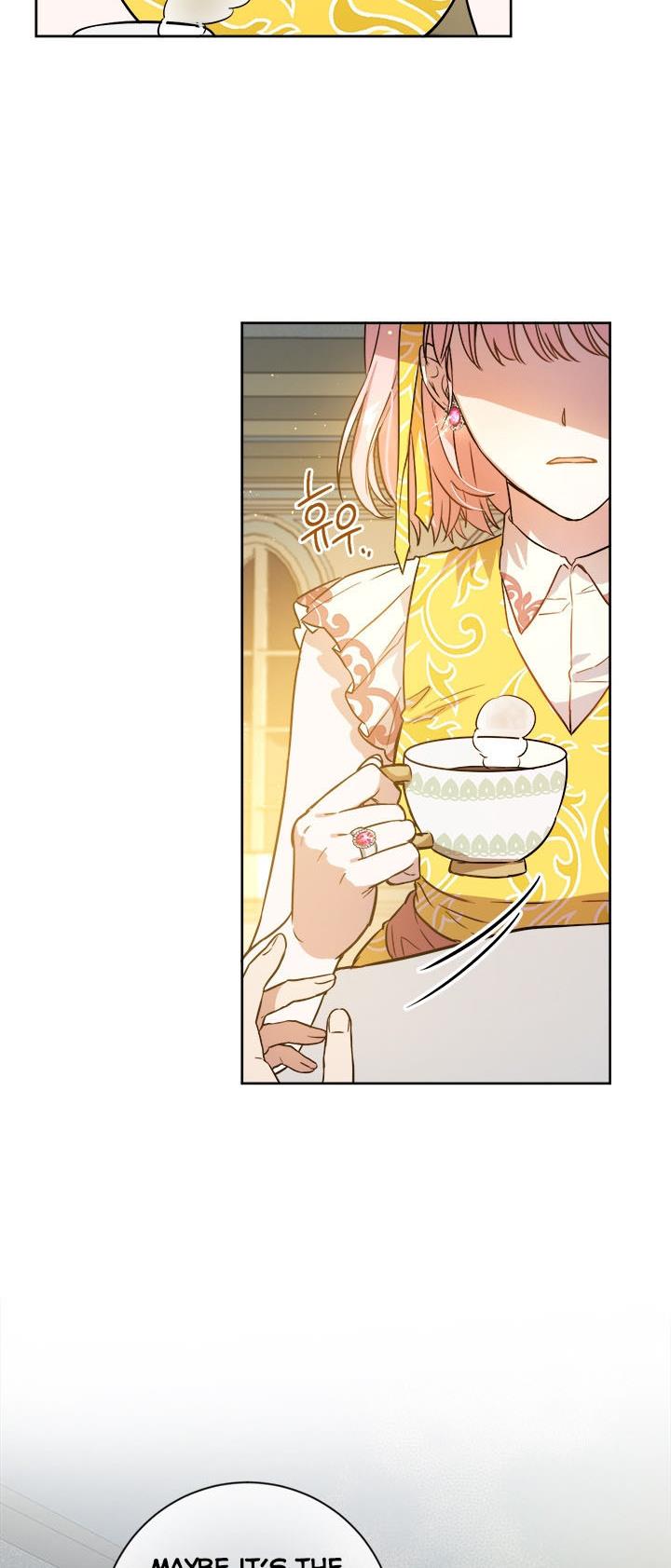 The Princess’s Double Life Chapter 42 - Page 9