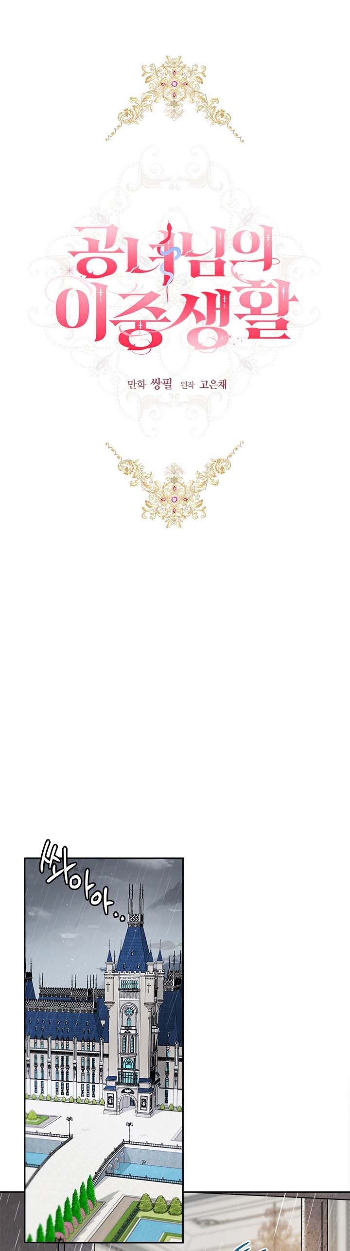 The Princess’s Double Life Chapter 49 - Page 8