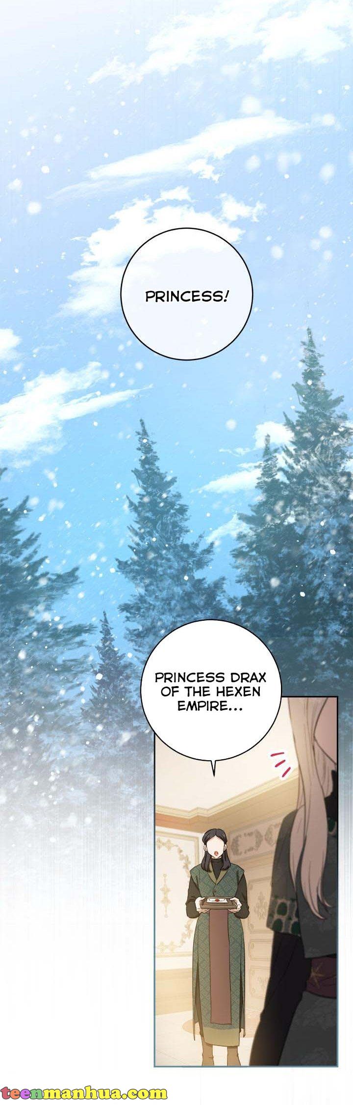 The Princess’s Double Life Chapter 68 - Page 28