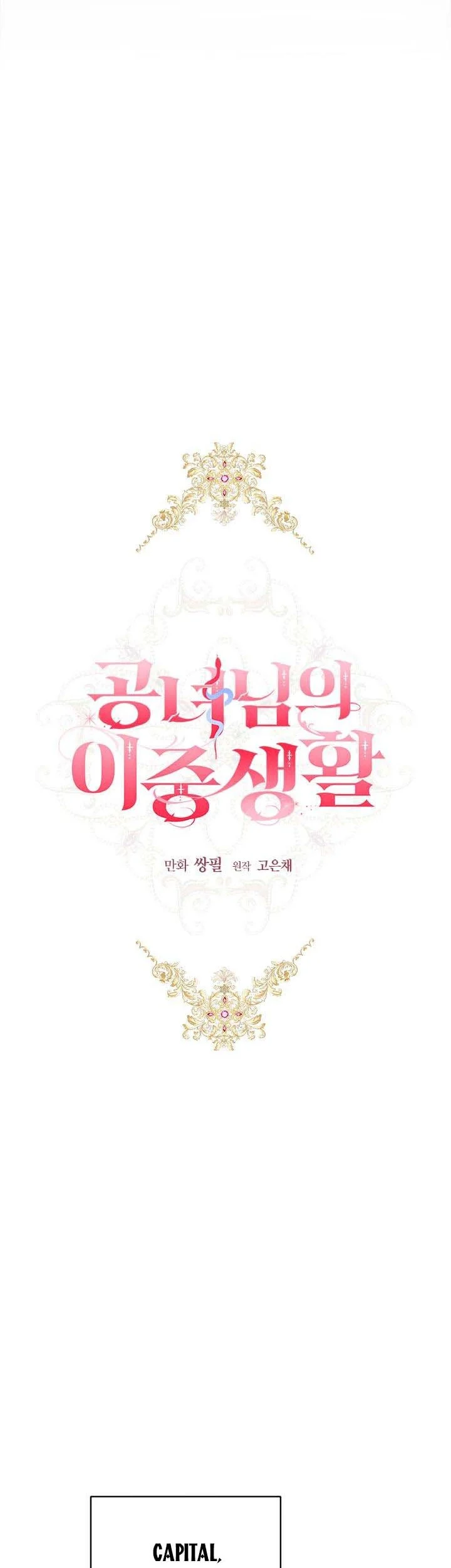 The Princess’s Double Life Chapter 71 - Page 4