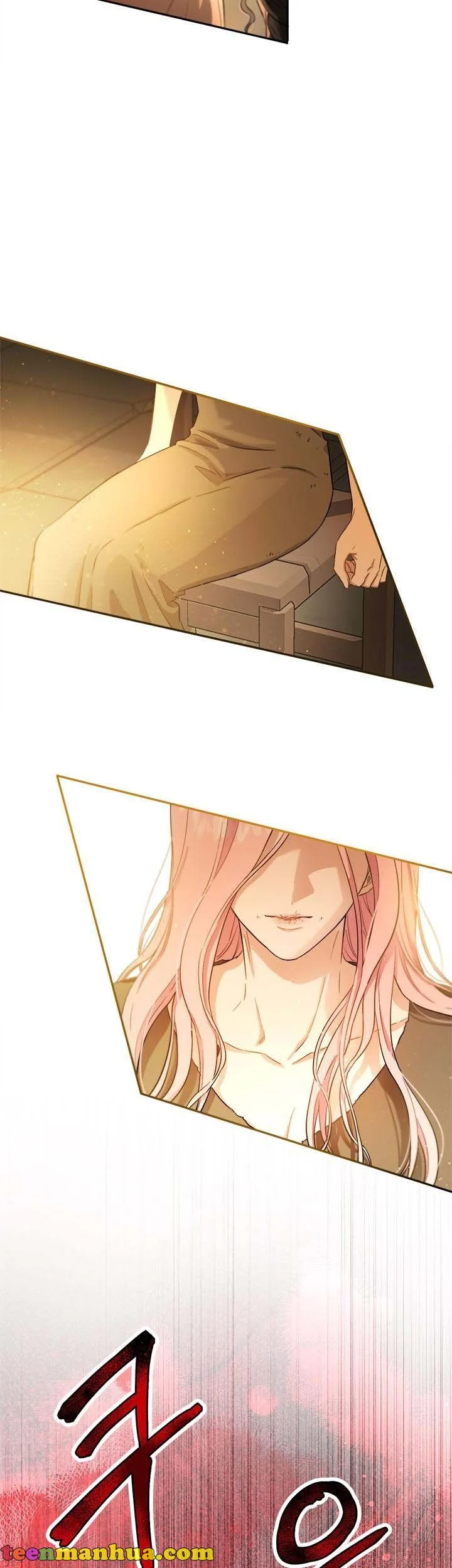 The Princess’s Double Life Chapter 71 - Page 17