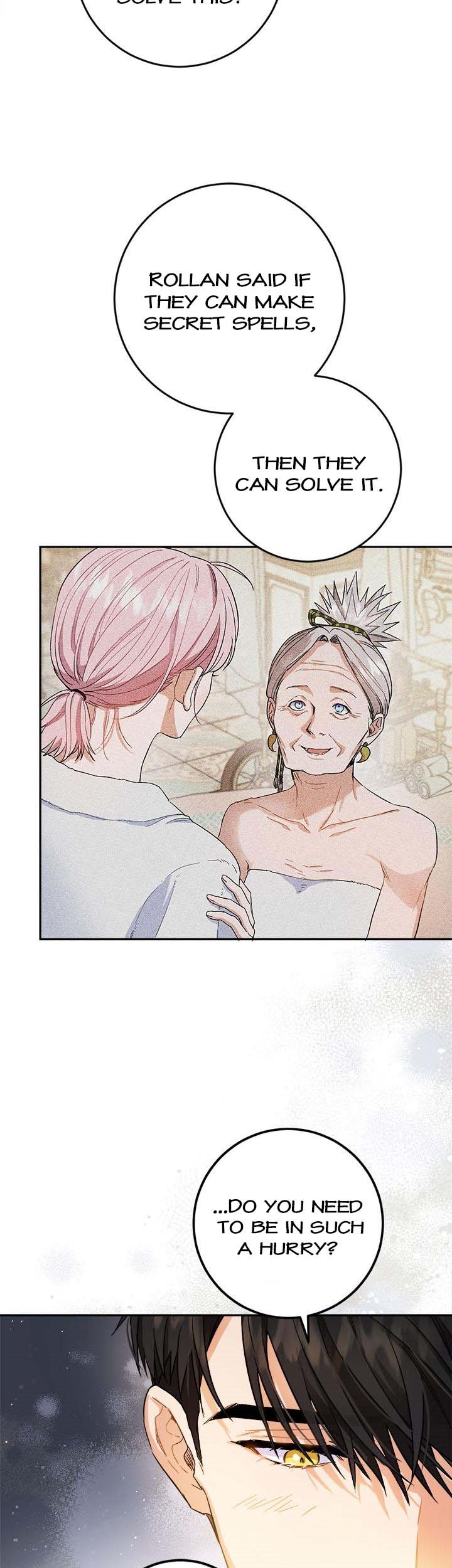 The Princess’s Double Life Chapter 72 - Page 19