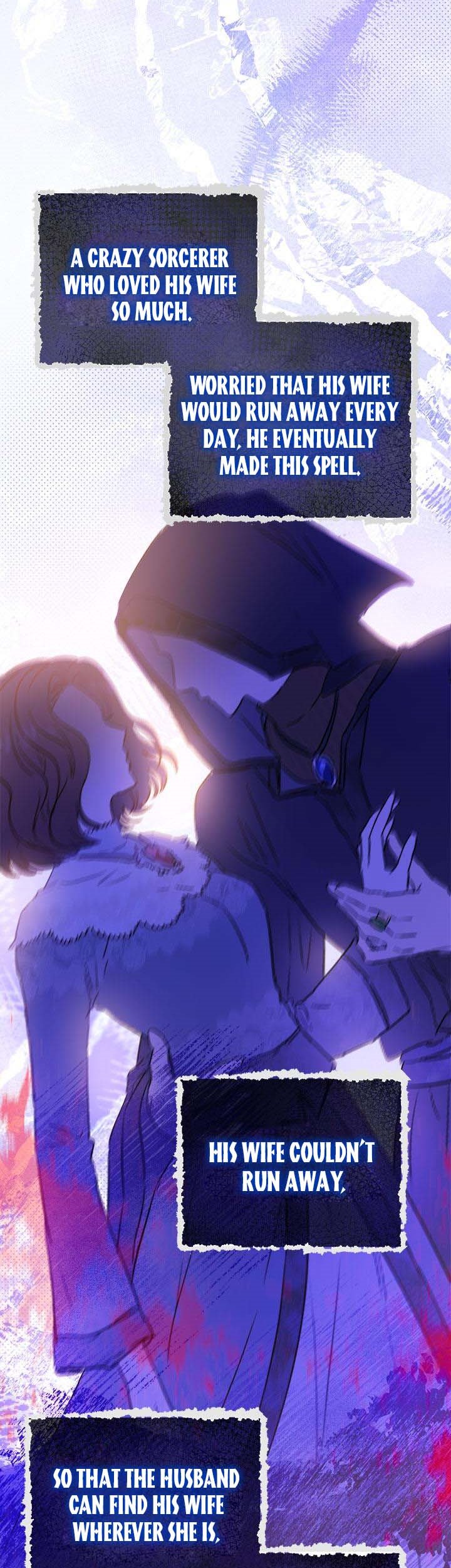 The Princess’s Double Life Chapter 72 - Page 27