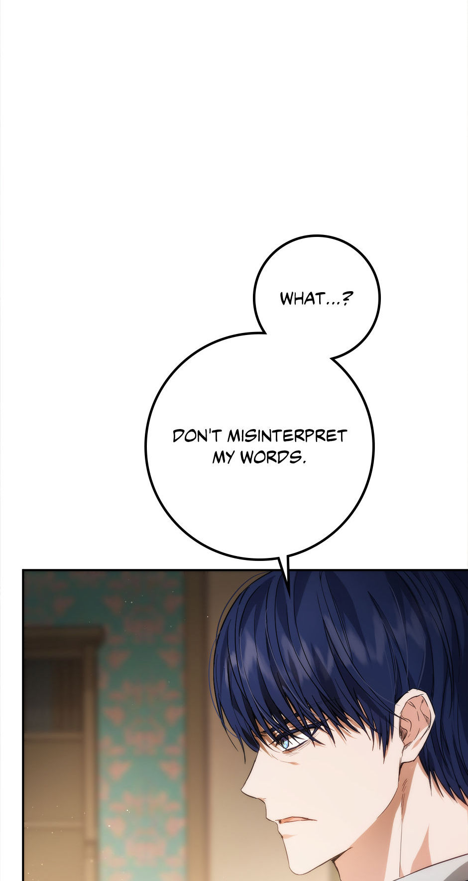 The Princess’s Double Life Chapter 80 - Page 11