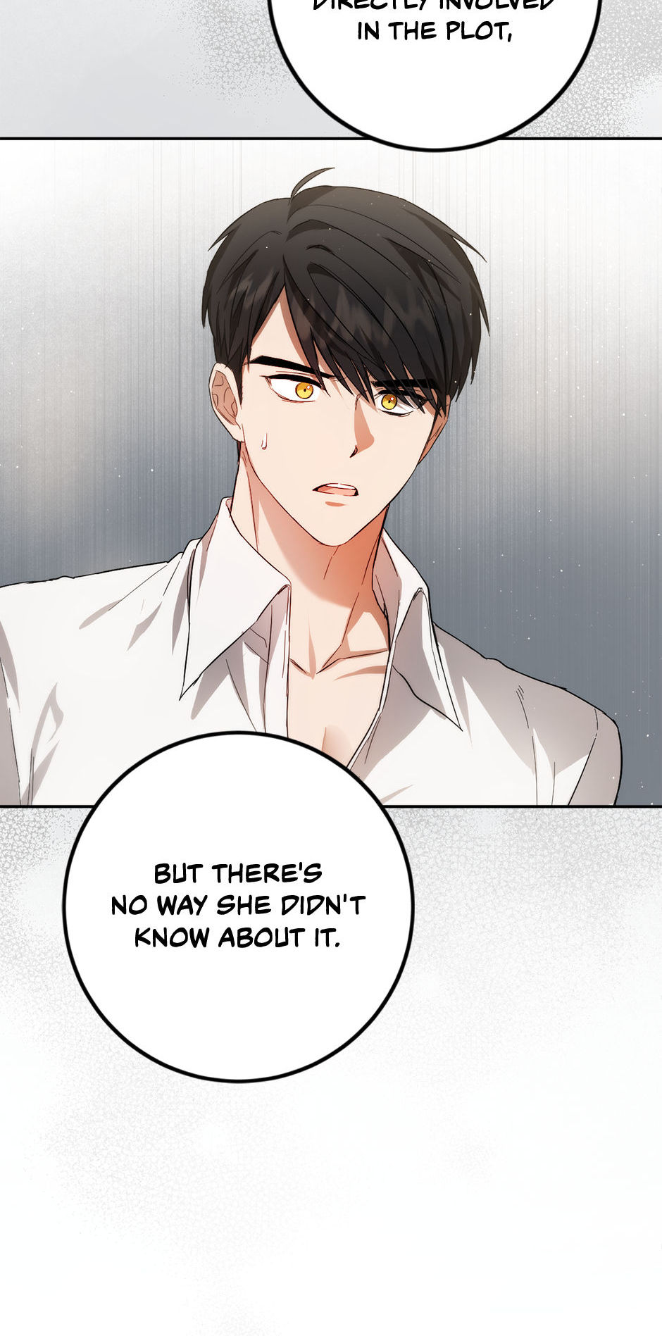 The Princess’s Double Life Chapter 84 - Page 31