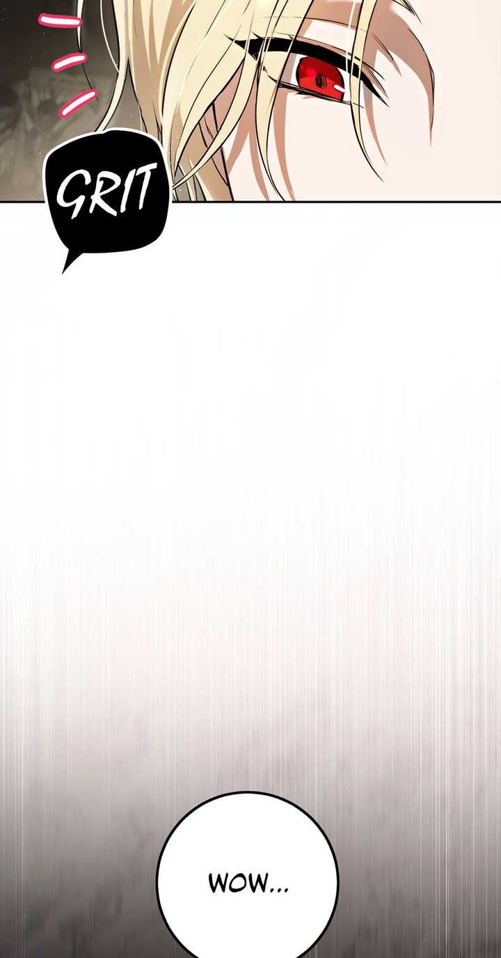 The Princess’s Double Life Chapter 87 - Page 12