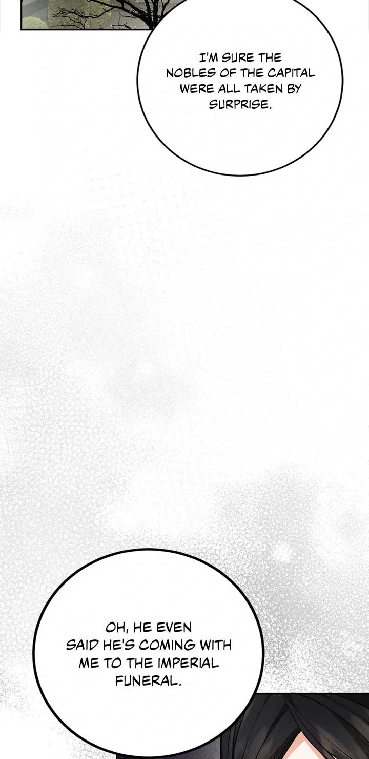 The Princess’s Double Life Chapter 89 - Page 71