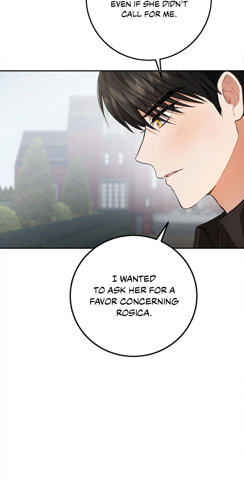 The Princess’s Double Life Chapter 90 - Page 65