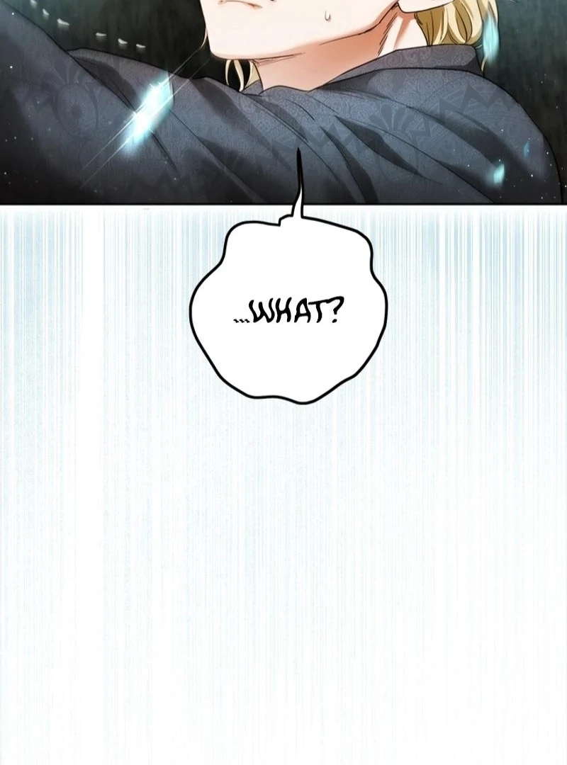 The Princess’s Double Life Chapter 121 - Page 19