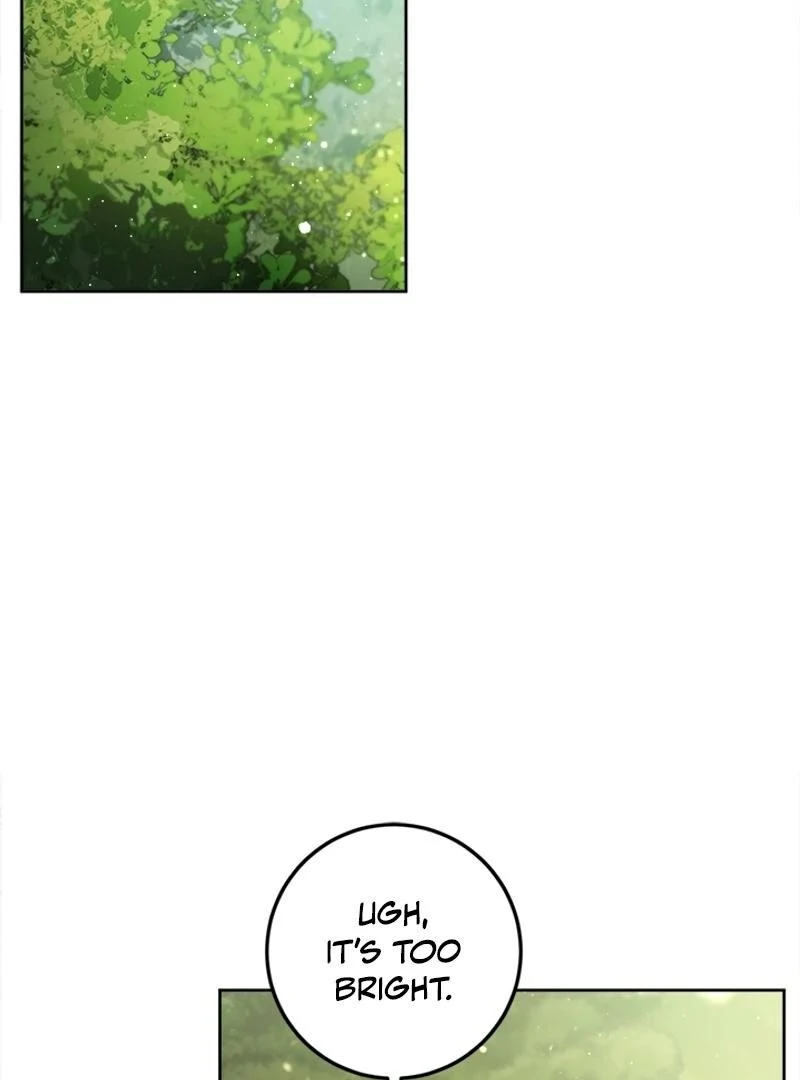 The Princess’s Double Life Chapter 122 - Page 33