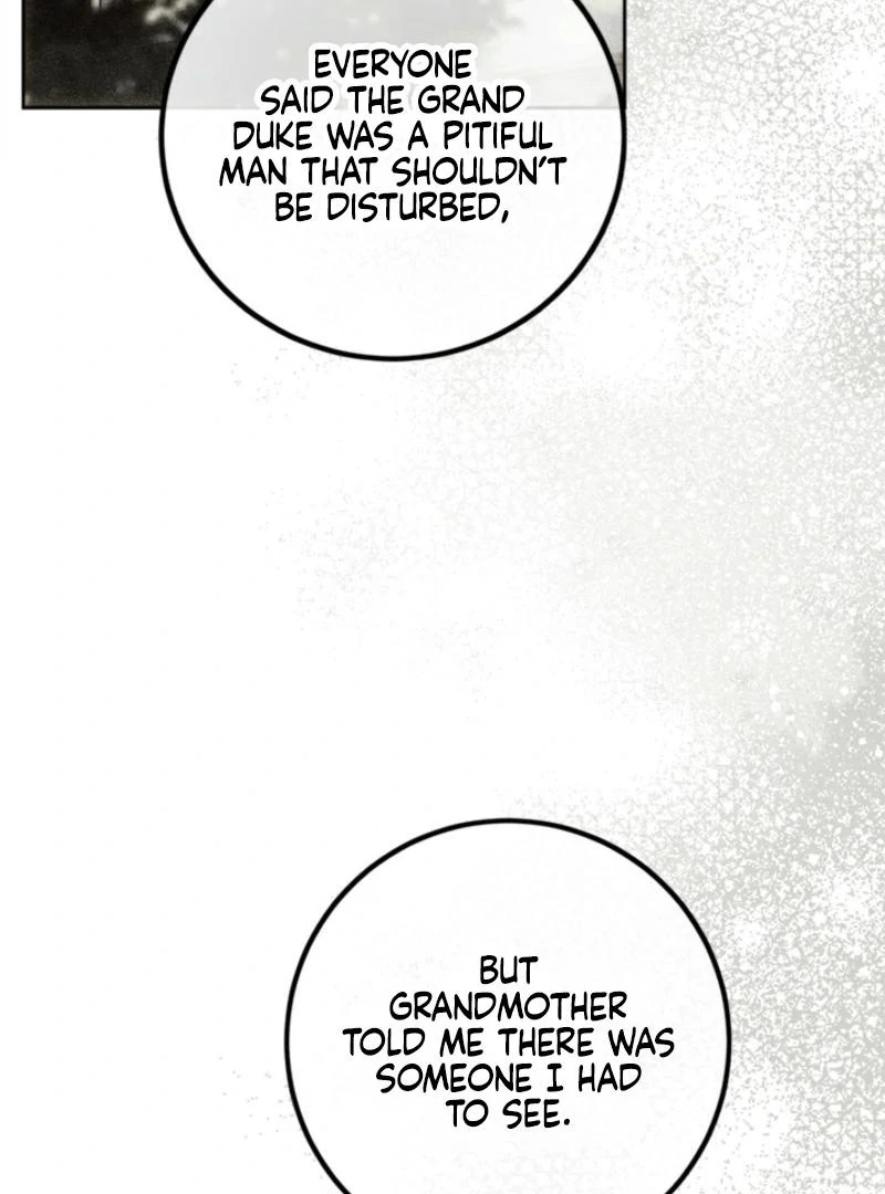 The Princess’s Double Life Chapter 125 - Page 81