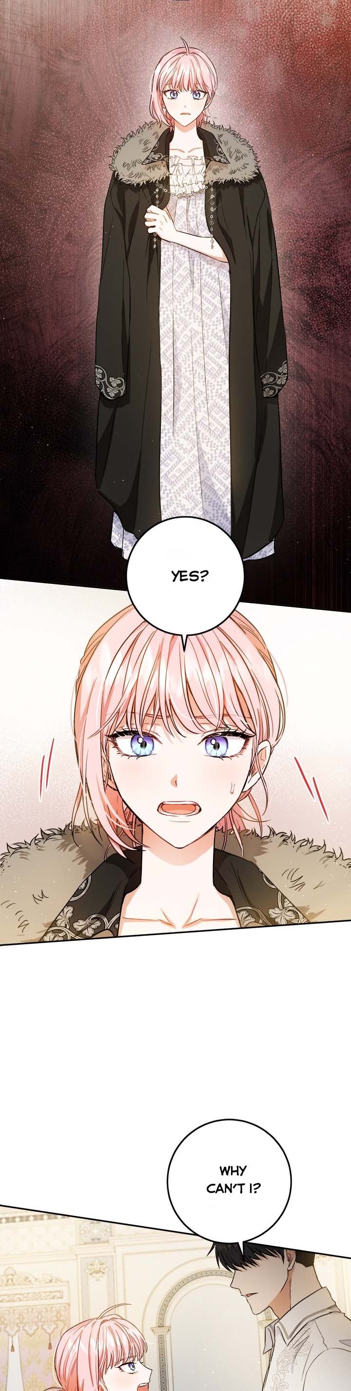 The Princess’s Double Life Chapter 49.5 - Page 17