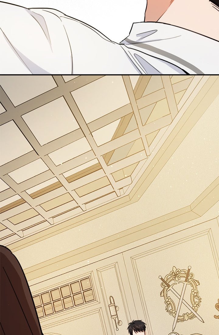 The Princess’s Double Life Chapter 50.5 - Page 19