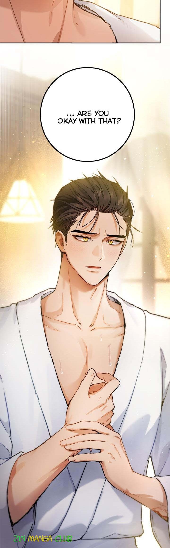 The Princess’s Double Life Chapter 53.5 - Page 11