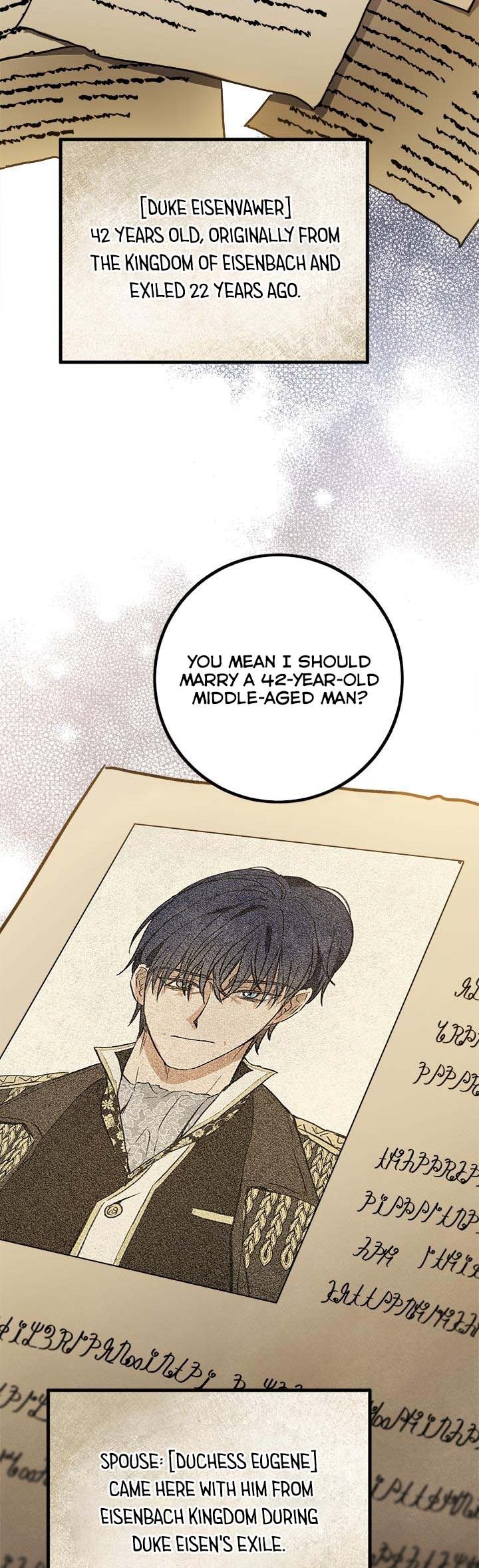 The Princess’s Double Life Chapter 55.5 - Page 4