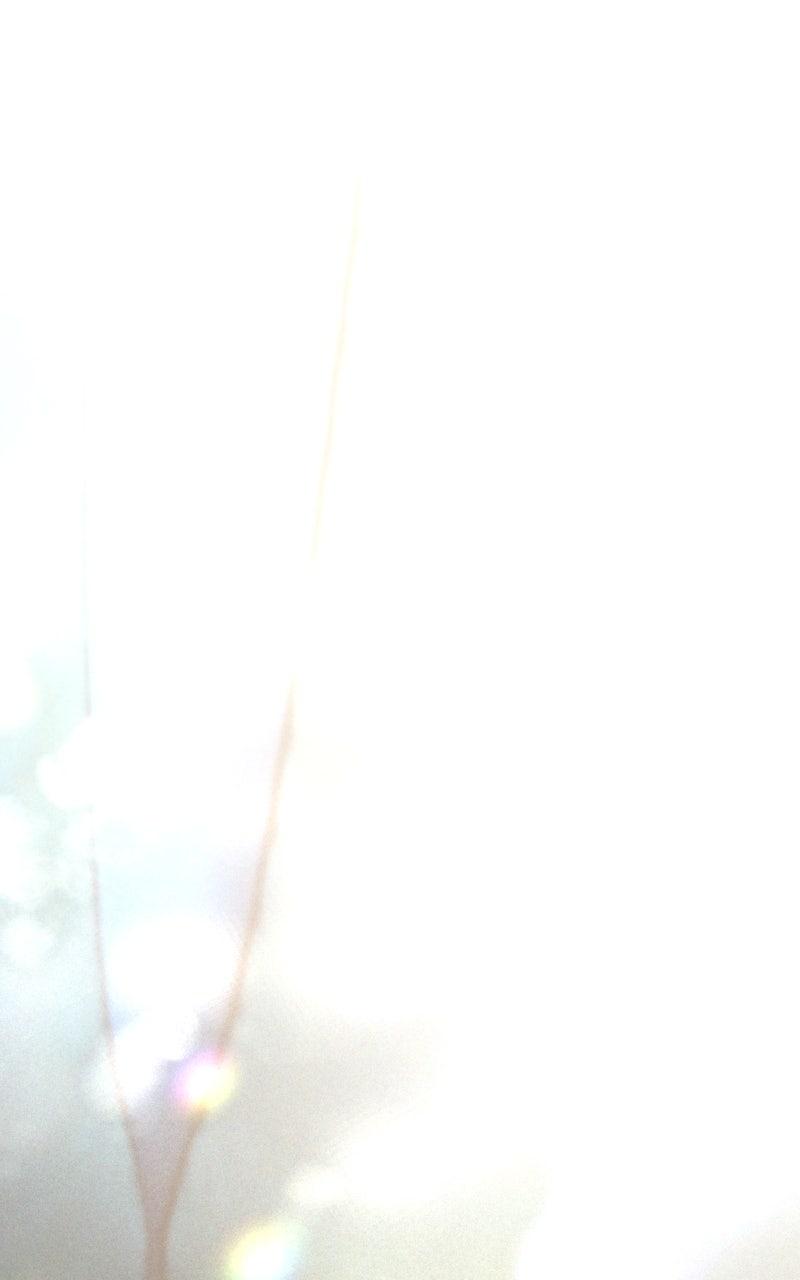 the empresss time reversed abducted marriage Chapter 27 - Page 25