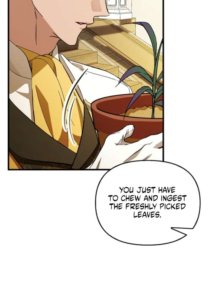 The Runaway Countess Has Returned Chapter 25 - Page 31