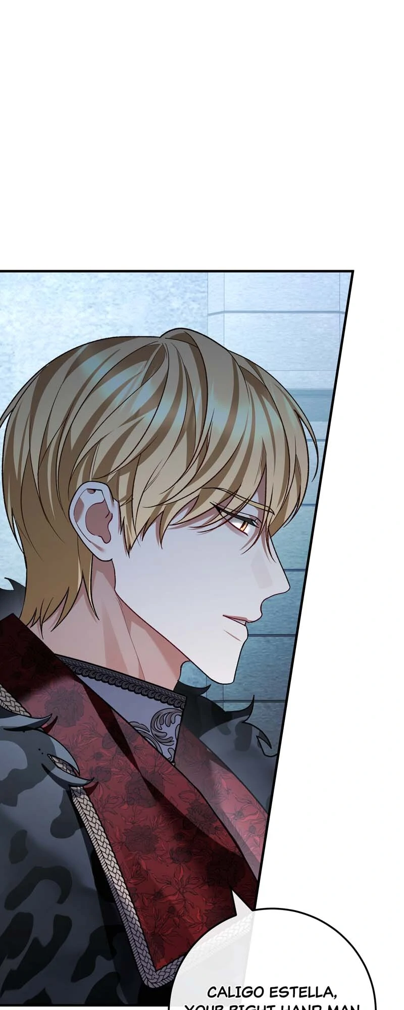 The Second Male Lead is Actually a Girl Chapter 79 - Page 17