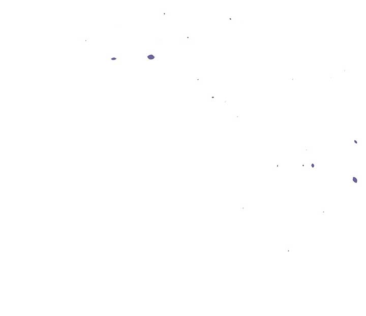 The Secret Bedroom of a Dejected Royal Daughter Chapter 89 - Page 139