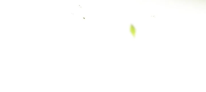 The Secret Bedroom of a Dejected Royal Daughter Chapter 130 - Page 6