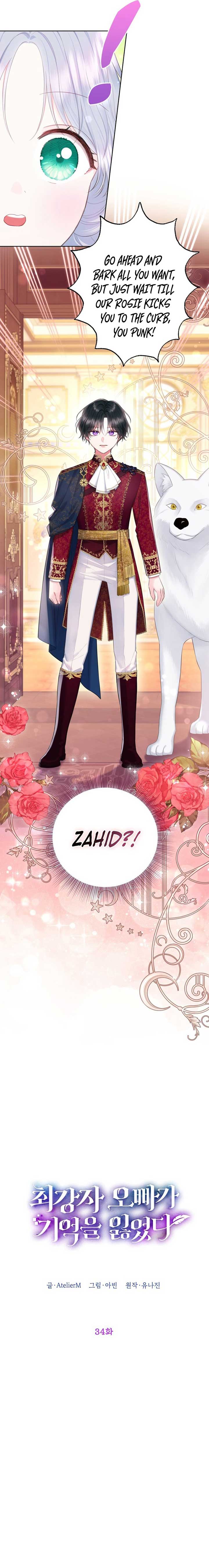 The Strongest Brother Lost His Memory Chapter 34 - Page 8